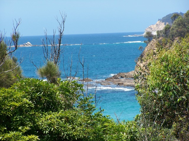 100_2974.jpg  (120.8 Kb)