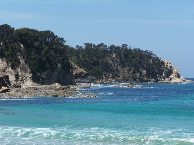 100_2979.jpg  (74.9 Kb)