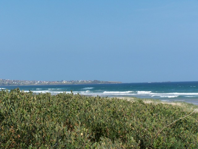 100_2988.jpg  (71.6 Kb)