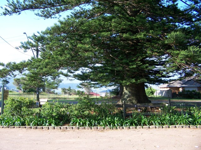 100_2999.jpg  (146.6 Kb)