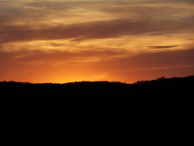 100_2119.jpg  (25.5 Kb)