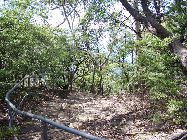 100_2133.jpg  (168.0 Kb)