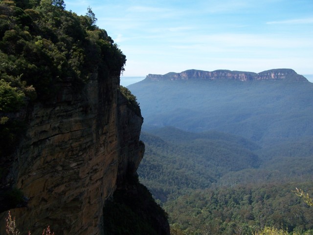 100_2147.jpg  (63.1 Kb)