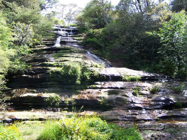 100_2156.jpg  (153.6 Kb)