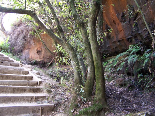 100_2157.jpg  (126.0 Kb)