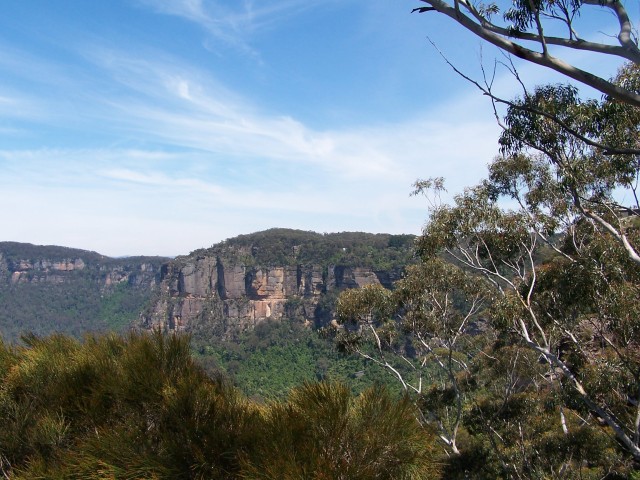100_2176.jpg  (98.0 Kb)