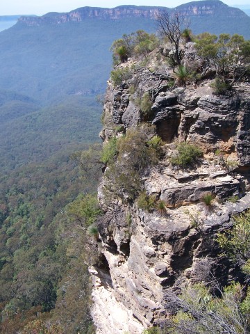 100_2178.jpg  (72.5 Kb)