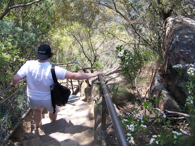 100_2179.jpg  (147.0 Kb)