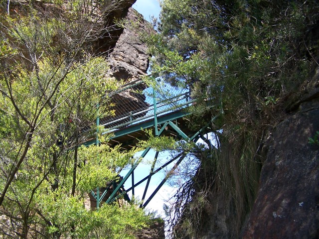 100_2184.jpg  (155.4 Kb)