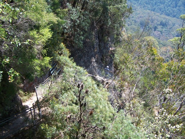 100_2186.jpg  (160.9 Kb)