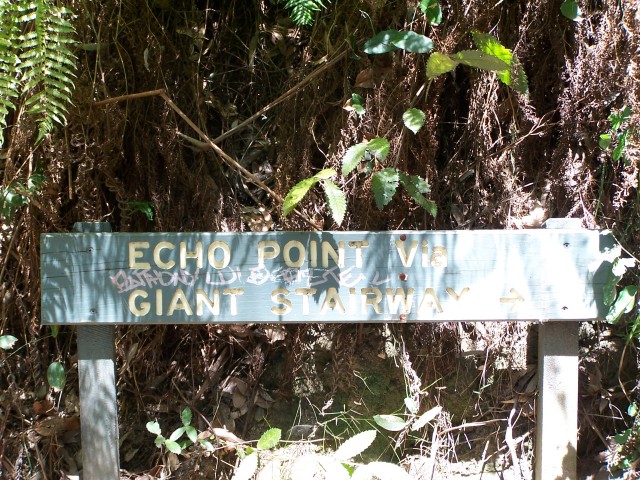 100_2191.jpg  (137.9 Kb)