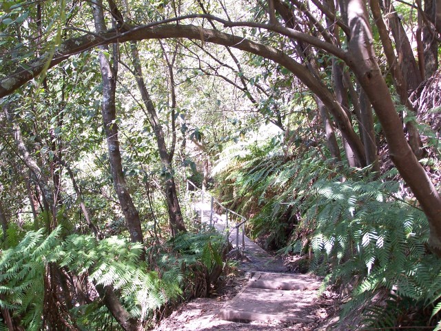100_2193.jpg  (159.1 Kb)