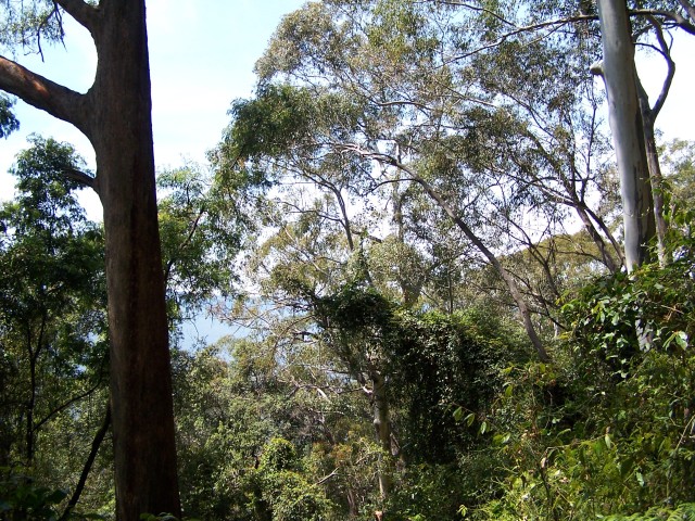 100_2194.jpg  (151.8 Kb)
