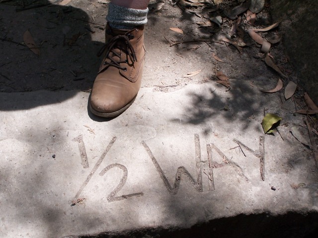 100_2206.jpg  (86.6 Kb)