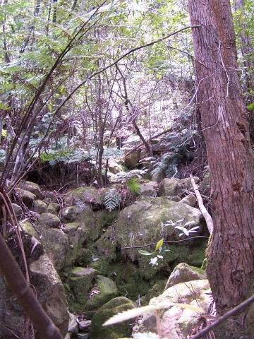 100_2209.jpg  (86.7 Kb)