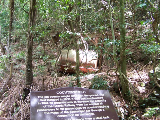 100_2215.jpg  (157.9 Kb)