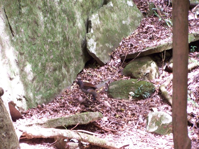 100_2219.jpg  (128.0 Kb)