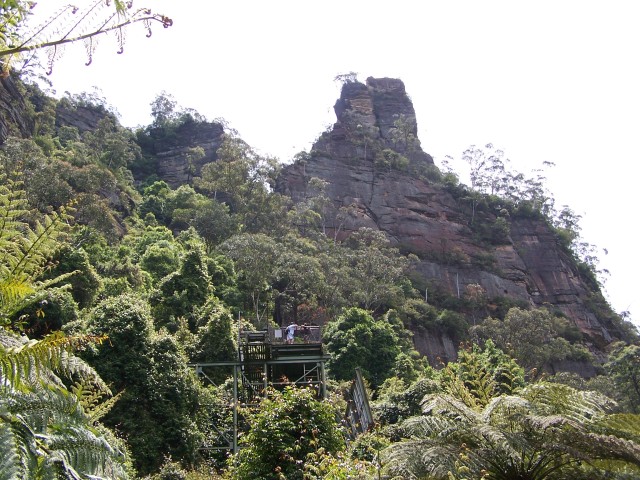 100_2220.jpg  (112.3 Kb)