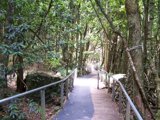 100_2224.jpg  (152.5 Kb)