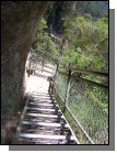 100_2185.jpg  (79.4 Kb)