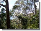 100_2194.jpg  (151.8 Kb)