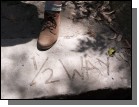 100_2206.jpg  (86.6 Kb)