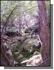 100_2209.jpg  (86.7 Kb)