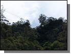 100_2222.jpg  (71.2 Kb)