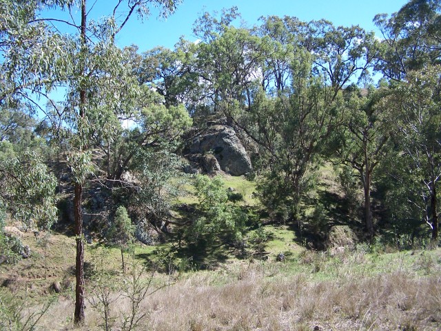 100_1804.jpg  (155.7 Kb)
