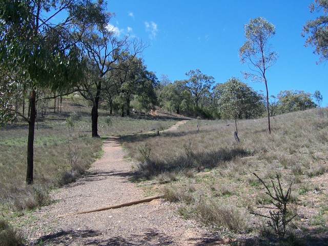 100_1805.jpg  (124.0 Kb)