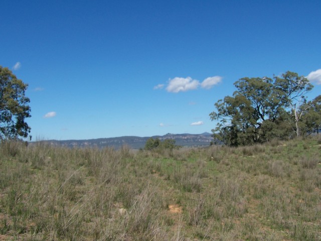 100_1806.jpg  (65.2 Kb)