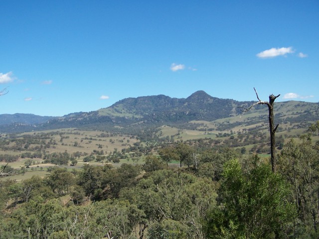 100_1807.jpg  (83.4 Kb)