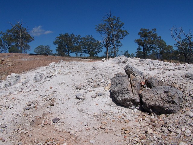 100_1814.jpg  (112.4 Kb)