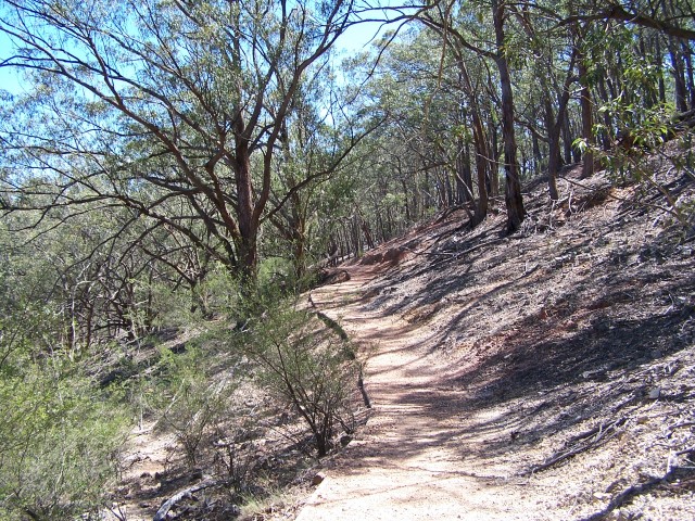 100_1823.jpg  (171.0 Kb)