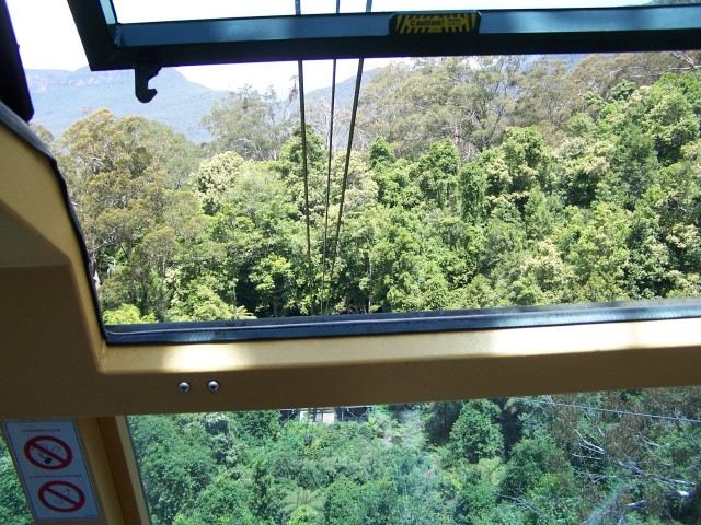 100_2231.jpg  (122.0 Kb)
