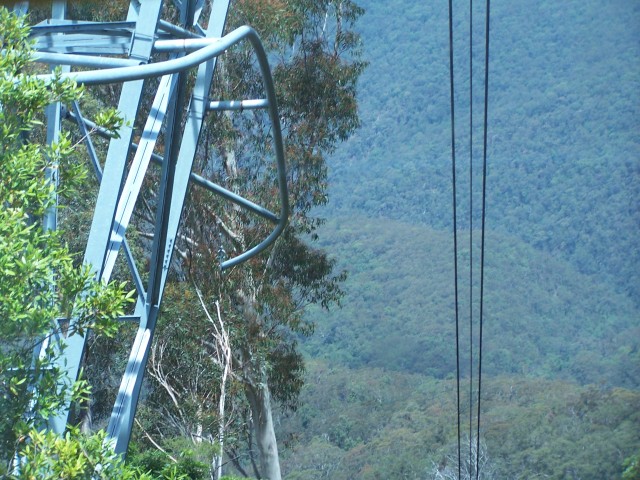 100_2242.jpg  (111.4 Kb)