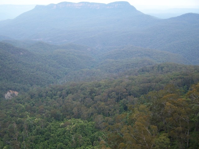 100_2258.jpg  (69.0 Kb)