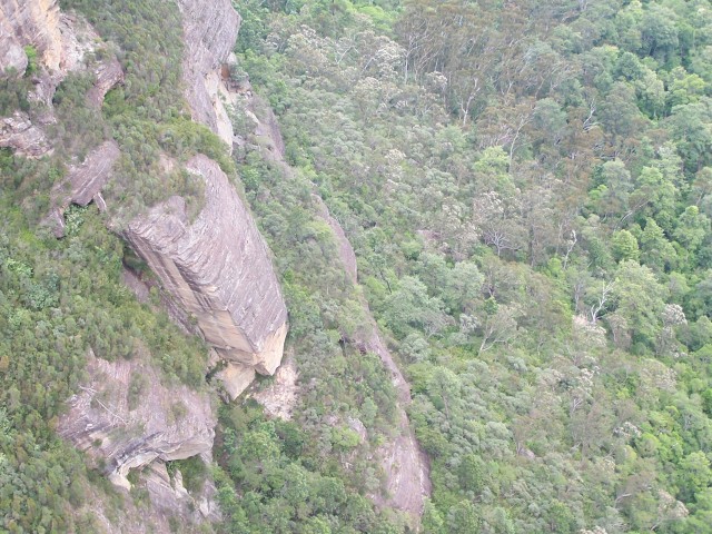 100_2266.jpg  (120.5 Kb)