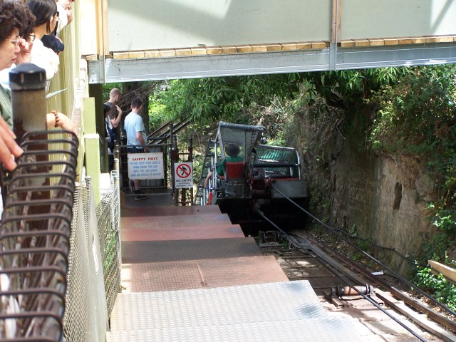 100_2290.jpg  (103.1 Kb)