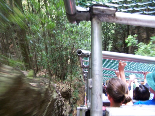 100_2298.jpg  (99.1 Kb)