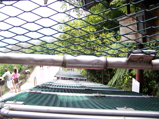 100_2310.jpg  (124.2 Kb)