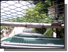 100_2310.jpg  (124.2 Kb)