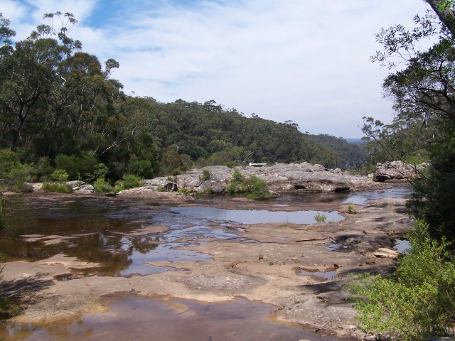 100_2890.jpg  (95.7 Kb)