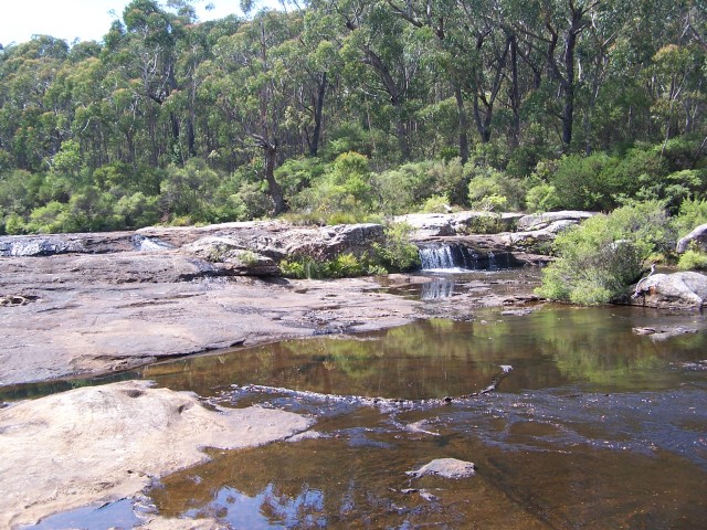 100_2892.jpg  (128.4 Kb)