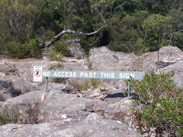 100_2895.jpg  (138.5 Kb)