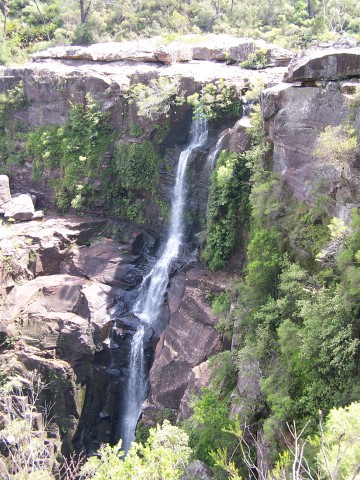 100_2915.jpg  (80.3 Kb)