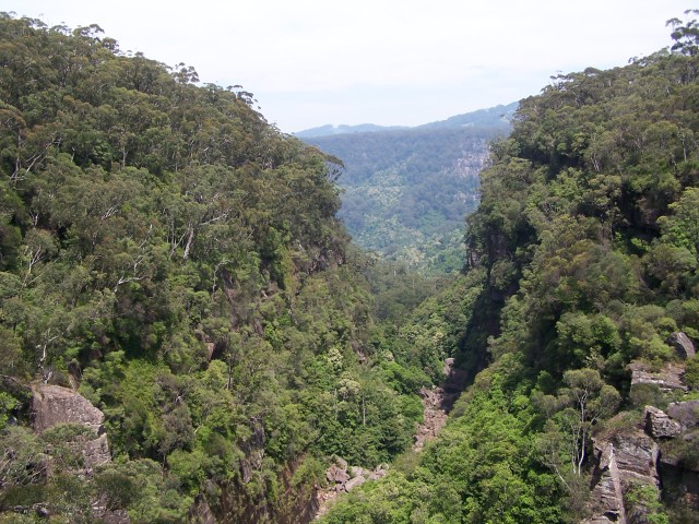100_2918.jpg  (116.2 Kb)