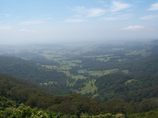 100_2921.jpg  (52.4 Kb)