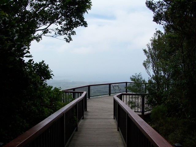 100_2932.jpg  (82.1 Kb)