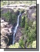 100_2915.jpg  (80.3 Kb)